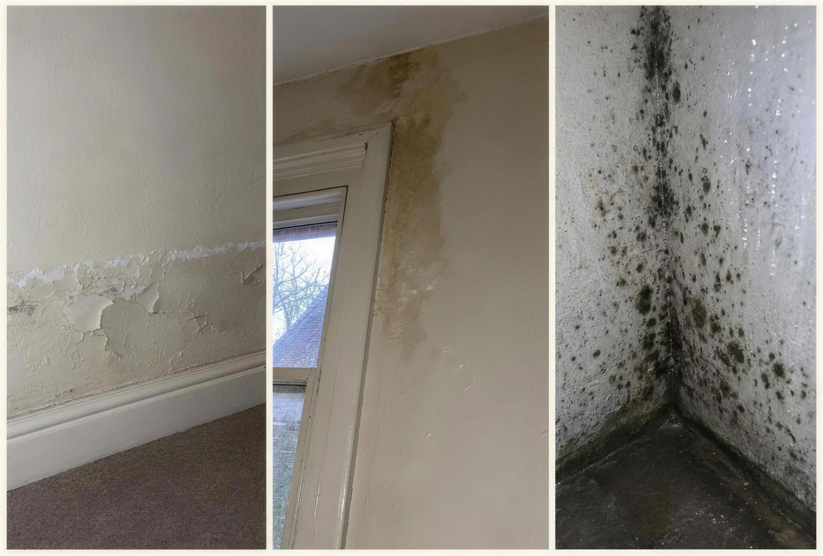 Three kinds of damp compared
